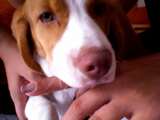 Mordiendo el dedo de su mami!!! Mordiendo el dedo de su mami!!!